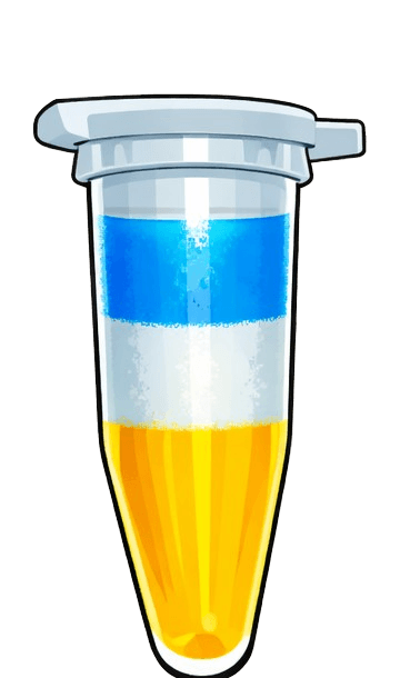 Thaw-indicator vial with blue, white, and yellow zones still clearly separated.